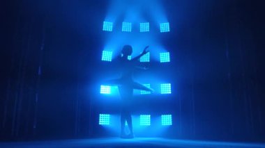 Klasik bir balerin sahnede prova yapıyor. Beyaz Kuğu Partisi. Mavi spot ışıkları altında zarif genç bir kızın siluetleri..