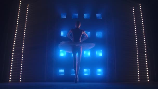 Pretty ballet dancer gracefully dancing. Ballet rehearsal before the performance. Ballerina does dance steps in the stage costume. Silhouette. Dark studio with smoke and blue neon lighting. — Stock Video