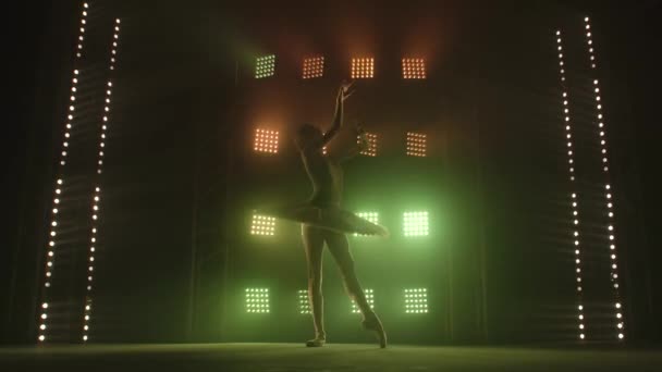 The flexible young ballerina is rehearsing the part of the white swan. The girl performs classic steps. Smooth hand movements. Silhouette on a smoky background in a dark studio in the spotlight. — Stock Video