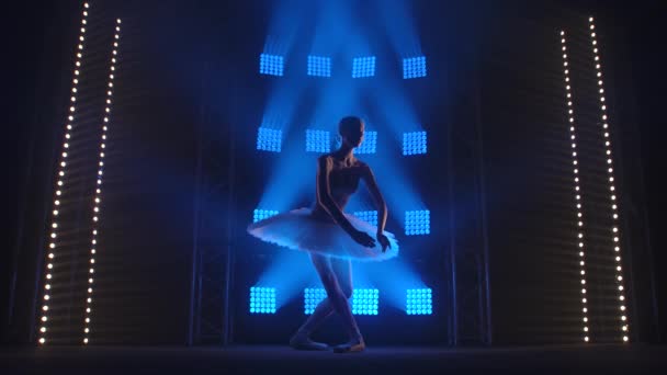 Eine klassische Balletttänzerin probt auf der Bühne. Partei des weißen Schwans. Silhouetten eines jungen anmutigen Mädchens im blauen Scheinwerferlicht. — Stockvideo