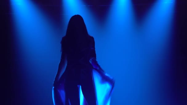 Silhouette di una ragazza che balla in uno studio buio con fumo e luci al neon blu. Bruna attraente in un abito sexy nel colore della bandiera inglese e strass. Spettacolo danza femminile contemporanea. — Video Stock