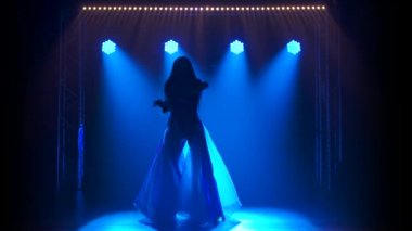 İngiliz bayrağı ve sahte elmaslarla seksi bir takım elbiseyle dans eden siluet kadar narin bir kız. Duman ve mavi neon ışıklarıyla karanlık stüdyoda çekildi..