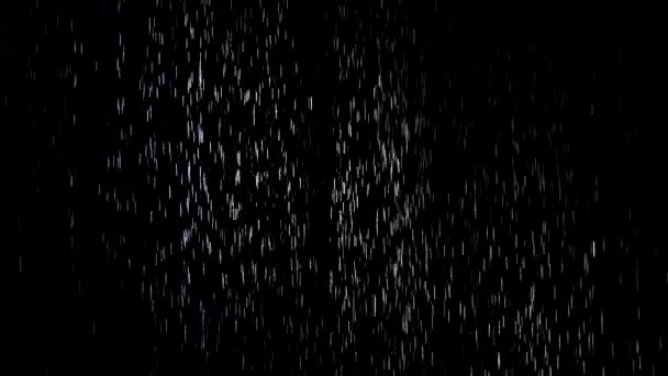 黒い背景に雨の光沢のある滴。アクアスタジオ。閉めろ。スローモーション. — ストック動画