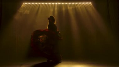 İnce, çekici bir kadının silueti çingene kostümüyle dans ediyor. Kadın eteğini sallayarak bir dans içinde dönüyor. Yumuşak sarı ışıkları ve dumanı olan karanlık bir stüdyo. Yavaş çekim.