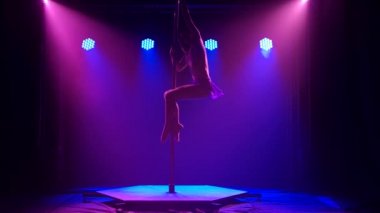 İnce bir genç kadın tarafından yapılan direk dansı. Yavaş çekimde güzel jimnastik hareketleri. Esnek bir vücudun göstergesi. Güzel bir stüdyo ışığında siluetler.