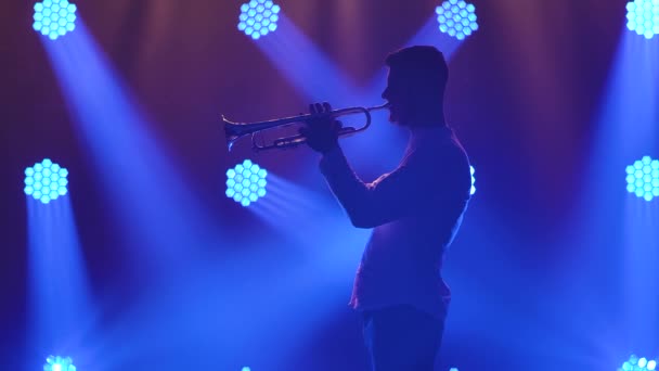 Mavi spot ışıklarıyla sahnedeki trompetçinin silueti. Trompet ellerde. Yan görüş. Yavaş çekim. — Stok video