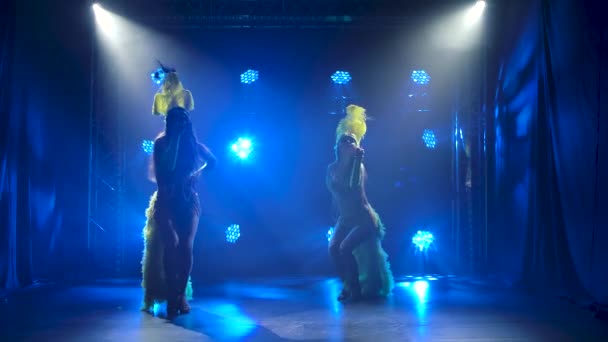 Silhouettes of female dancers in exotic Brazilian carnival costumes dancing in a dark studio. Young women in feather costumes move against a smoky background with blue neon lighting. Slow motion. — Stock Video