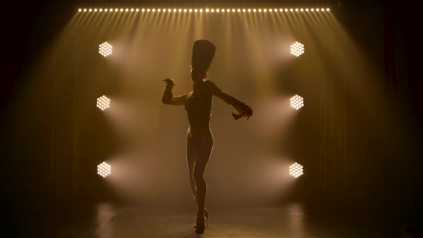 Mostra teatral realizada por uma dançarina atraente vestida com um traje da rainha do Egito antigo. Mulher silhueta está dançando no escuro com fumaça e iluminação. Movimento lento. — Vídeo de Stock