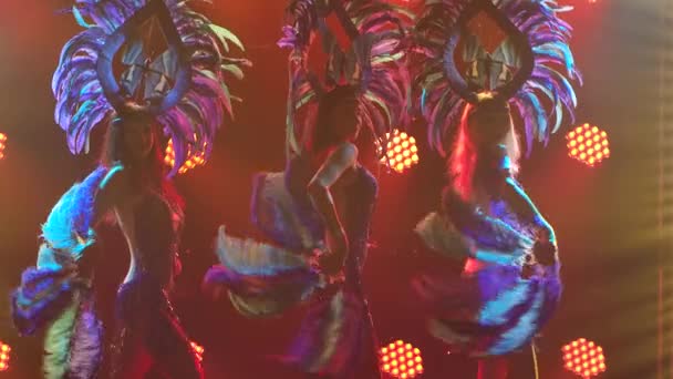 Ve studiu tančí silueta skupiny okouzlujících mladých žen v modrých brazilských karnevalových kostýmech, kloboucích a péřových fanoušcích. Zpomal. Zavřít. — Stock video