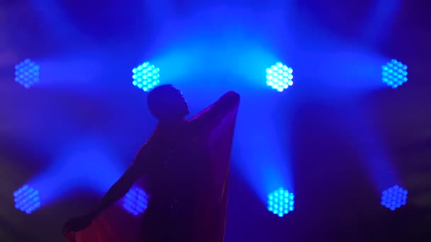 Silhouette une jeune danseuse dans un sari rouge. Danse populaire indienne. Tourné dans un studio sombre avec de la fumée et un néon bleu. — Video