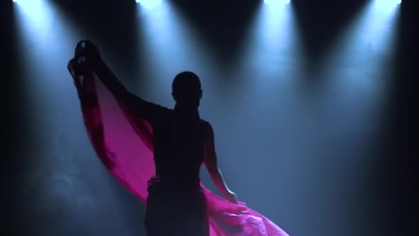 Silueta mladé tanečnice v červeném sárí. Indický lidový tanec. Natočeno v tmavém studiu s kouřem a neonovým osvětlením. — Stock video