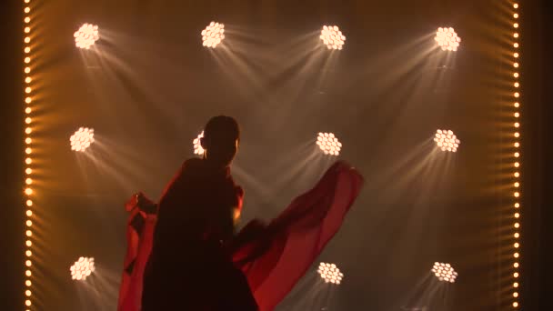 赤いサリーを着た若い女性ダンサーのシルエット。インドの民俗舞踊。煙とネオンの照明で暗いスタジオで撮影. — ストック動画