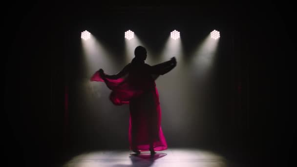 실루엣은 빨간 사리를 입은 젊은 여자 댄서입니다. 인도 민속 댄스. 연기와 네온 조명이 있는 어두운 스튜디오에서 총을 맞다. — 비디오