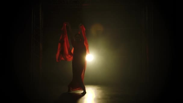 Silhouette una bailarina joven en un sari rojo. Danza folclórica india. Grabado en un estudio oscuro con humo e iluminación de neón. Movimiento lento. — Vídeos de Stock