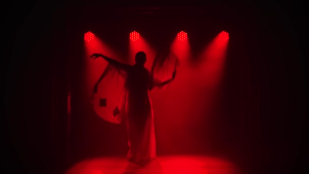 Silhouet een jonge danseres in een rode sari. Indiaanse volksdans. Neergeschoten in een donkere studio met rook en rode neon verlichting. Langzame beweging. — Stockvideo