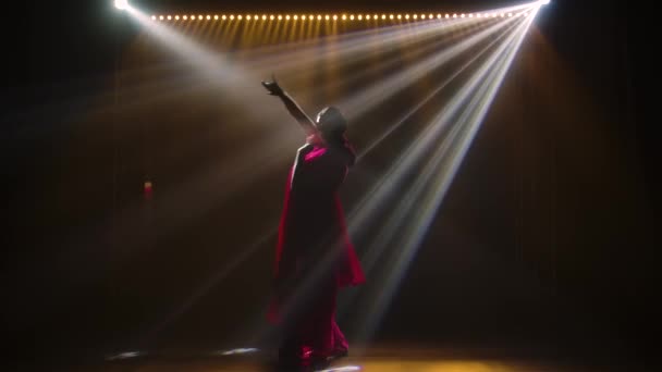 Silhouette a young girl dancer in a red sari. Indian folk dance. Shot in a dark studio with smoke and neon lighting. Slow motion. — Stock Video