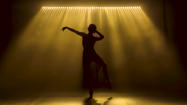 Profi balerina tánc balett reflektorfényben és füst a színpadon. Egy gyönyörű karcsú alak sziluettje. Lassú mozgás.. — Stock videók