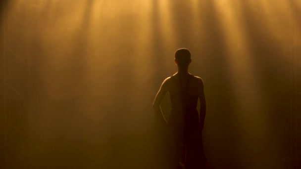 Silhouet een sierlijke ballerina danseres die danselementen van klassiek ballet in zwarte jurk uitvoert. Neergeschoten in een duisternis onder een gele spotlights van de studio. Langzame beweging. — Stockvideo
