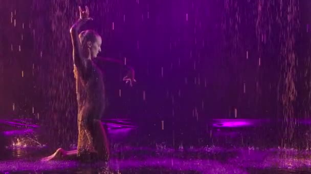 Щаслива жінка і чоловік танцюють емоційно стрімко в повільному русі на дощових басейнах. Мокра пара танцюристів під краплями дощу на димчастому фіолетовому тлі. крупним планом . — стокове відео