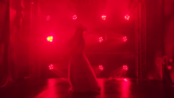 Une danseuse est silhouettée dans les lumières rouges et la fumée exécutant une danse folklorique. Une brune lumineuse en costume de soie rouge et une coiffure d'une princesse chinoise. Mouvement lent. — Video