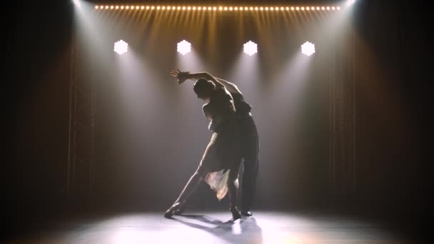 Σιλουέτα χορευτών σε ένα καπνιστό στούντιο. Παθιασμένο ζευγάρι χορεύει ταγκό σε σκοτεινό δωμάτιο με καπνό και προβολείς σε αργή κίνηση. — Αρχείο Βίντεο