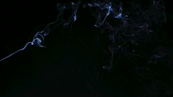 白色的烟缓缓向上升起,在一个黑色的背景上呈螺旋状的涓滴状.靠近点慢动作. — 图库视频影像
