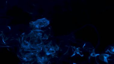 Siyah arka planda izole edilmiş gerçek beyaz bulut dumanı mavi ışıkla aydınlatılıyor. Kapatın. Yavaş çekim.