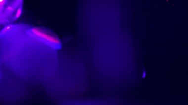 Mavi ışıklar. Kristalin içinde parlayan ışık. Cama yakın parlak bir ışık. Videonuz için güzel makrolar. Ağır çekim. Kapat..