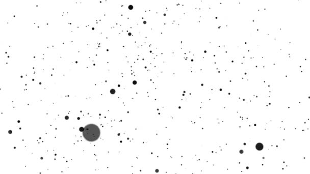 Animation of black particles of different sizes moving in space on a white background. You can use this footage for video backgrounds. — Stock Video