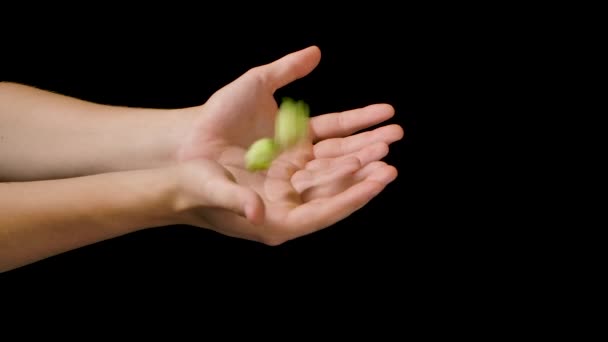 Närbild skott av en ung man kontrollerar med händerna just nu skördade biologiska rå humle blommor som används för hög kvalitet öl produktion i ekologiska hantverk bryggeri. — Stockvideo