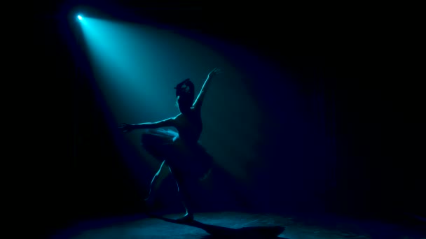 Silueta půvabné baletky v elegantním obrazu černé labutě. Tanec prvků klasického baletu. Natočeno v tmavém studiu s kouřem a neonovým osvětlením. — Stock video