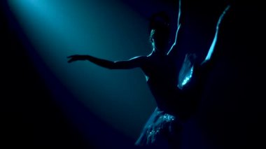 Siyah bir kuğu görünümlü zarif bir balerin silueti. Klasik bale pas. Duman ve neon ışıkla karanlık bir stüdyoda çekildi. Yavaş çekim.