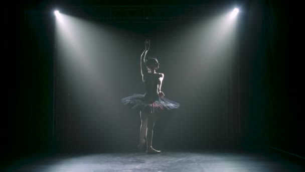 Silhueta de uma bailarina graciosa em uma imagem chique de um cisne preto. Coreografia clássica de balé. Filmado em um estúdio escuro com fumaça e iluminação de néon. Movimento lento. — Vídeo de Stock