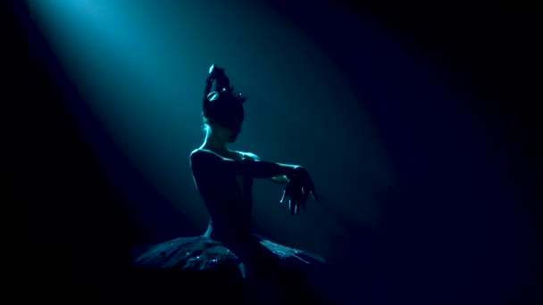Egy kecses balerina sziluettje egy fekete hattyú elegáns képében. Klasszikus balett pas. Egy sötét stúdióban lőtték le füsttel és neon világítással. Lassú mozgás.. — Stock videók