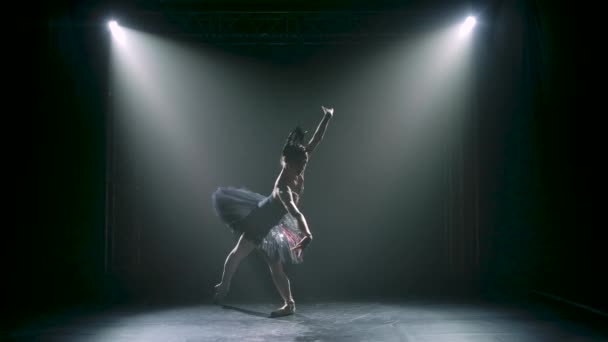 Silueta de una elegante bailarina en una elegante imagen de un cisne negro. Coreografía clásica de ballet. Grabado en un estudio oscuro con humo e iluminación de neón. Movimiento lento. — Vídeo de stock