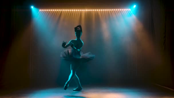 Silhouette einer anmutigen Ballerina im schicken Bild eines schwarzen Schwans. Tanz der Elemente des klassischen Balletts. Gedreht in einem dunklen Studio mit Rauch und magischer Neonbeleuchtung. Zeitlupe. — Stockvideo