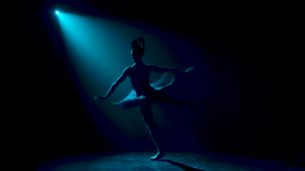 Silueta půvabné baletky v elegantním obrazu černé labutě. Klasická choreografie baletu. Natočeno v tmavém studiu s kouřem a neonovým osvětlením. Zpomalený pohyb. — Stock video
