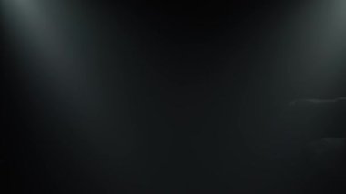 Klasik bale koreografisi, beyaz etekli genç zarif balerin tarafından sahneleniyor. İnce bir siluet. Stüdyonun arka planındaki spot ışıklarının altında çekildi. Yavaş çekim.