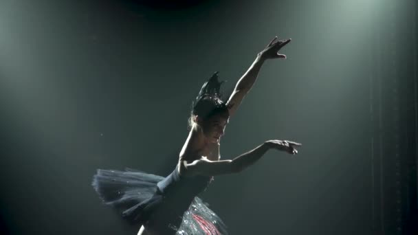 Silhouette einer anmutigen Ballerina im schicken Bild eines schwarzen Schwans. Klassischer Ballettpas. Gedreht in einem dunklen Studio mit Rauch und Neonlicht. Zeitlupe. — Stockvideo