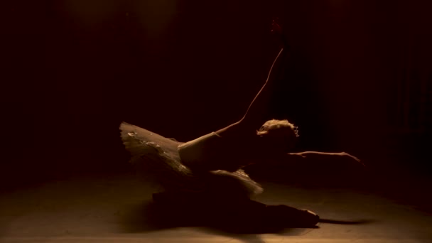 Silhuett av en graciös ballerina i en chic bild av en vit svan. Klassisk balettkoreografi. Skjuten i en mörk studio med rök och neonljus. Långsamma rörelser. — Stockvideo