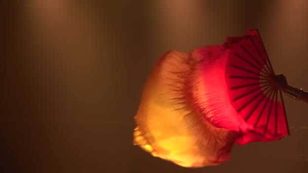 Young belly dancer waving silk fan tissues. Flame effect. Shot in a dark studio with smoke and neon lighting. Silhouette semi nudity. Close up. Slow motion. — Stock Video