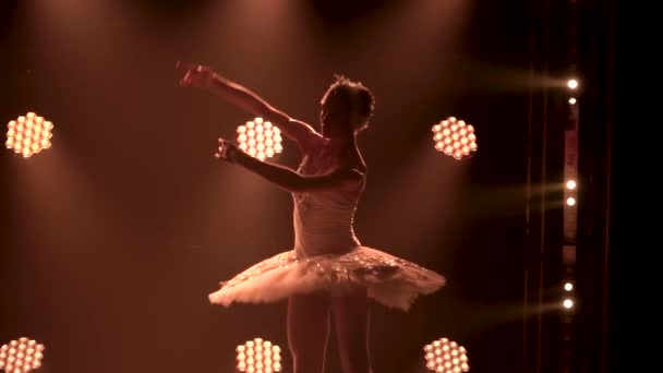 Egy kecses balerina sziluettje egy fehér hattyú elegáns képében. Klasszikus balett koreográfia. Egy sötét stúdióban lőtték le füsttel és neon világítással. Lassú mozgás.. — Stock videók
