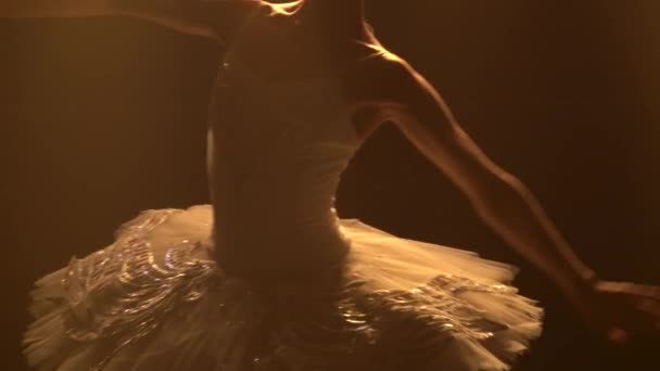 Kecses balerina táncoló fehér hattyú része. Sima kézmozdulatok. Egy sötét stúdióban lőtték le füsttel és neon világítással. Közelről.. — Stock videók