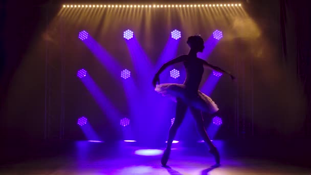 Klassieke ballet choreografie doordrenkt door jonge mooie sierlijke ballerina in witte tutu. Silhouet van een mooie slanke figuur. — Stockvideo