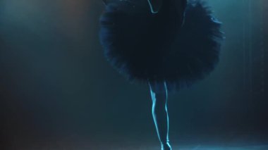 Siyah bir kuğu görünümlü zarif bir balerin silueti. Klasik bale pas. Duman ve neon ışıkla karanlık bir stüdyoda çekildi. Ağır çekim. Kapat..