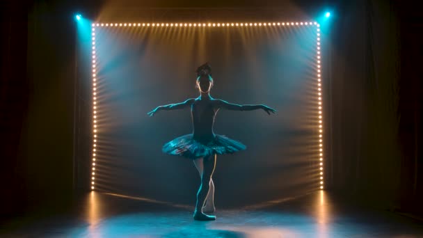 Silhueta de uma bailarina graciosa em uma imagem chique de um cisne preto. Dançando de elementos balé clássico. Filmado em um estúdio escuro com fumaça e iluminação de néon mágico. Movimento lento. — Vídeo de Stock