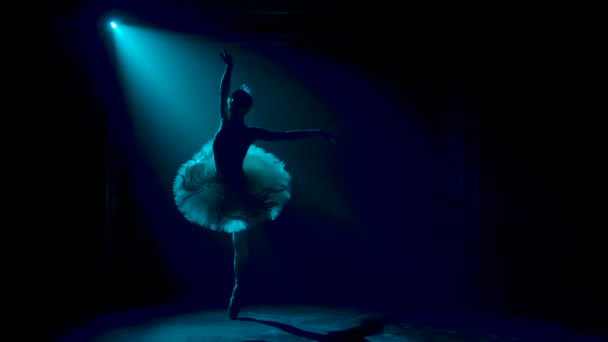 Silhouette einer anmutigen Ballerina im schicken Bild eines weißen Schwans. Klassische Ballettchoreographie. Gedreht in einem dunklen Studio mit Rauch und Neonlicht. Zeitlupe. — Stockvideo