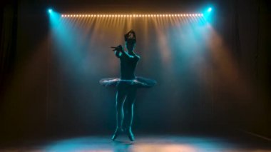 Siyah bir kuğu görünümlü zarif bir balerin silueti. Klasik bale öğeleri dansı. Karanlık bir stüdyoda, duman ve neon ışıkla çekildi..