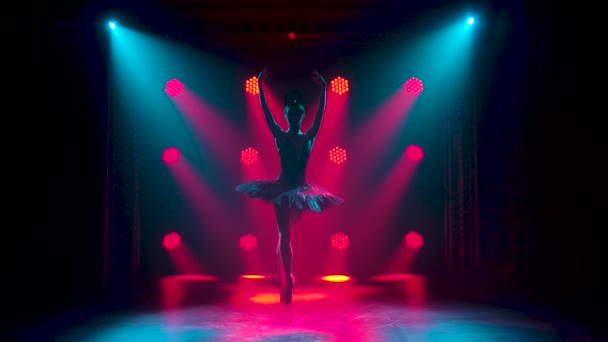 Silhouette einer anmutigen Ballerina im schicken Bild eines schwarzen Schwans. Tanz der Elemente des klassischen Balletts. Gedreht in einem dunklen Studio mit Rauch und roter Neonbeleuchtung. — Stockvideo