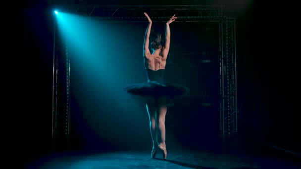 Bailarina elegante en una imagen elegante de un cisne negro. Coreografía clásica de ballet. Grabado en un estudio oscuro con humo e iluminación de neón. Movimiento lento. — Vídeo de stock